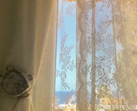 Sea Turtle كالاو سالفاجي
