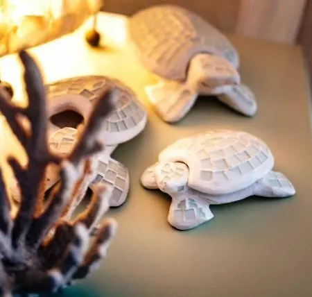 بيت للعطل Sea Turtle كالاو سالفاجي