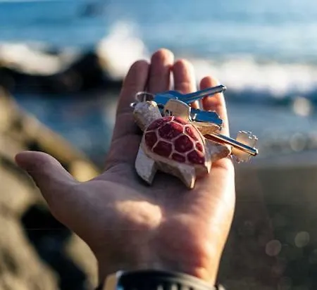 Sea Turtle Nyaraló *